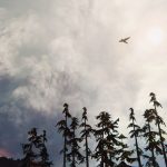 El arte en la fotografía de videojuegos