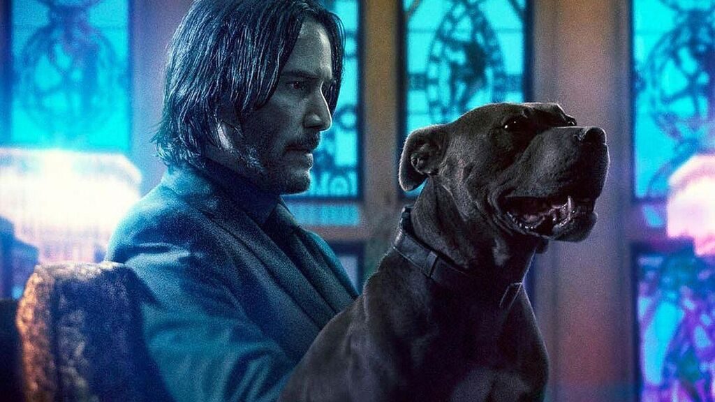 ¿Qué serías capaz de hacer por tu mascota?