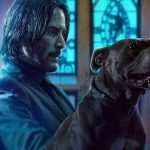 ¿Qué serías capaz de hacer por tu mascota?