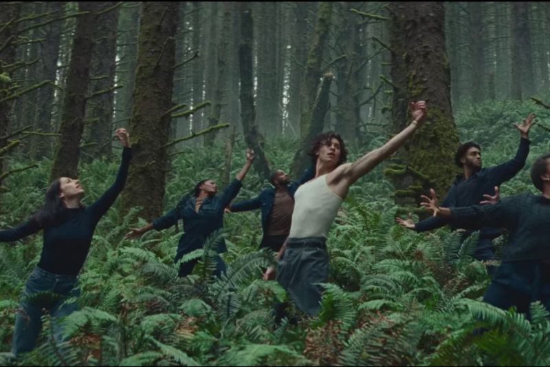 Shawn Mendes nos sorprende con “Wonder”.