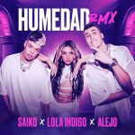 crítica humedad remix