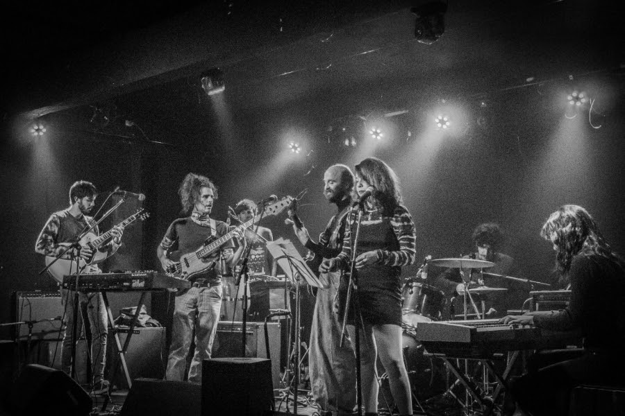 la tortuga y la abeja