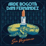 sin vergüenza dani fernandez