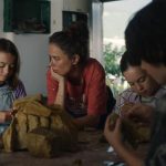 Crítica | “20.000 especies de abejas”: una película imprescindible