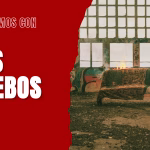 Entrevista | Los Acebos