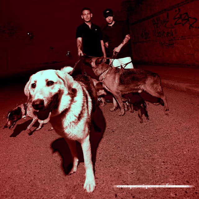 Pole. y Hens filosofan sobre la oscuridad en “creo que mi perro ve fantasmas”