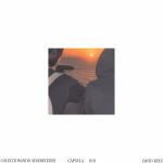 David Rees y la magia de coleccionar atardeceres